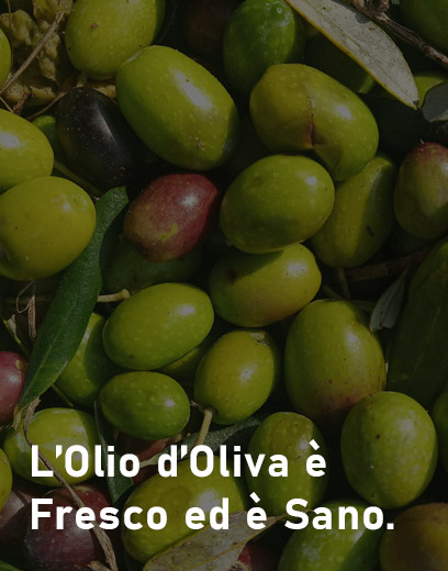 Olio di oliva Olio di oliva